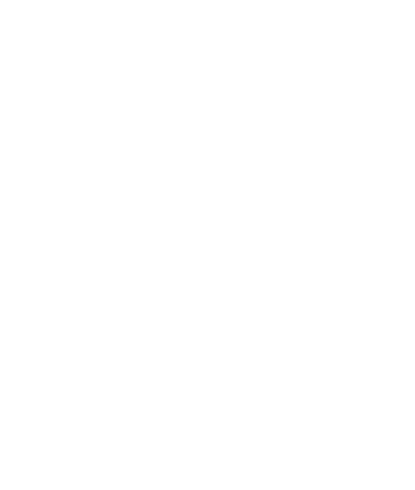 ПРРО Cashalot